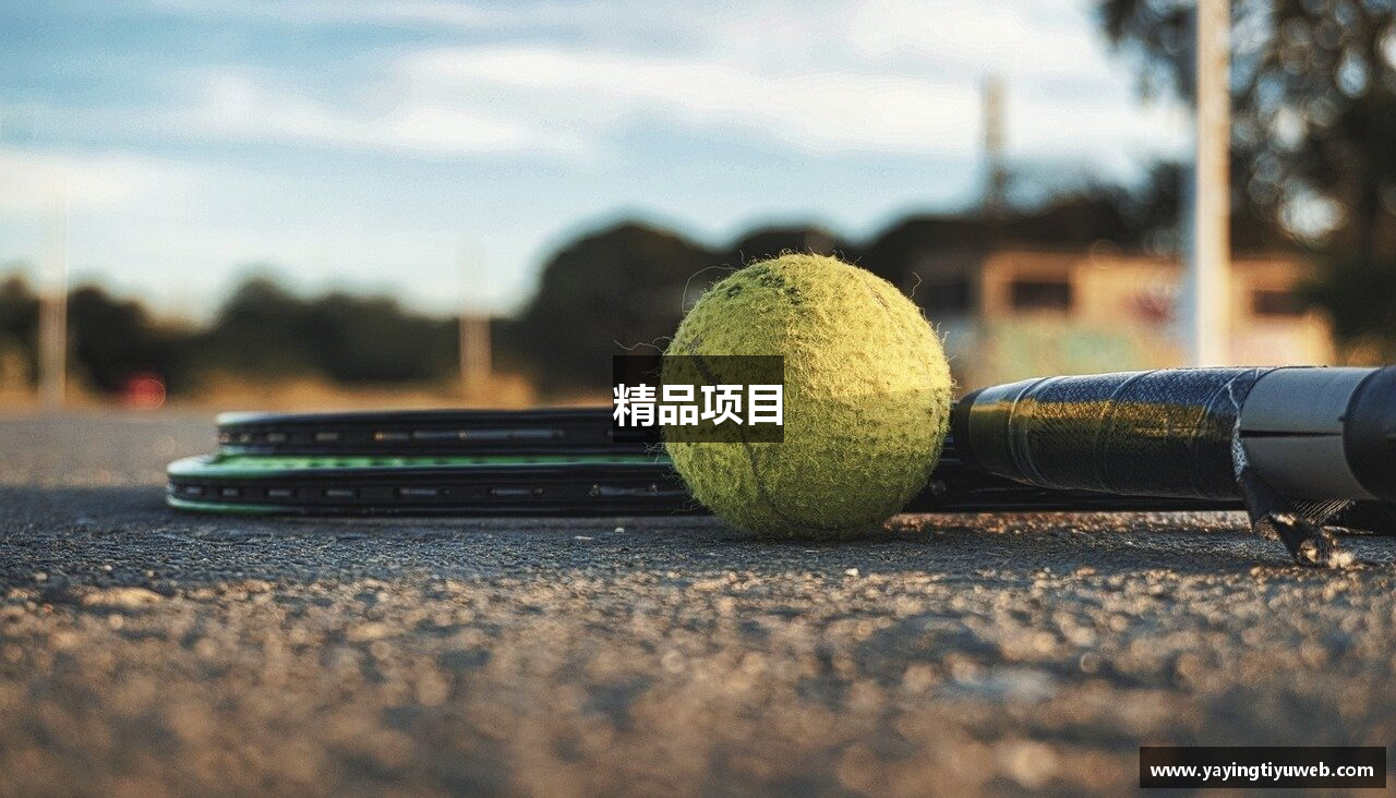 精品项目